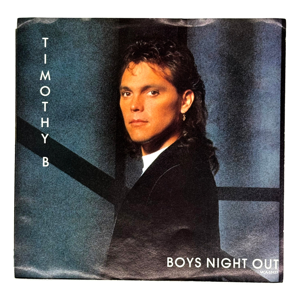 Timothy B. Schmit : BOYS NIGHT OUT/ INTO THE NIGHT