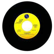 k.d. lang and the reclines : TURN ME ROUND/ TURN ME ROUND