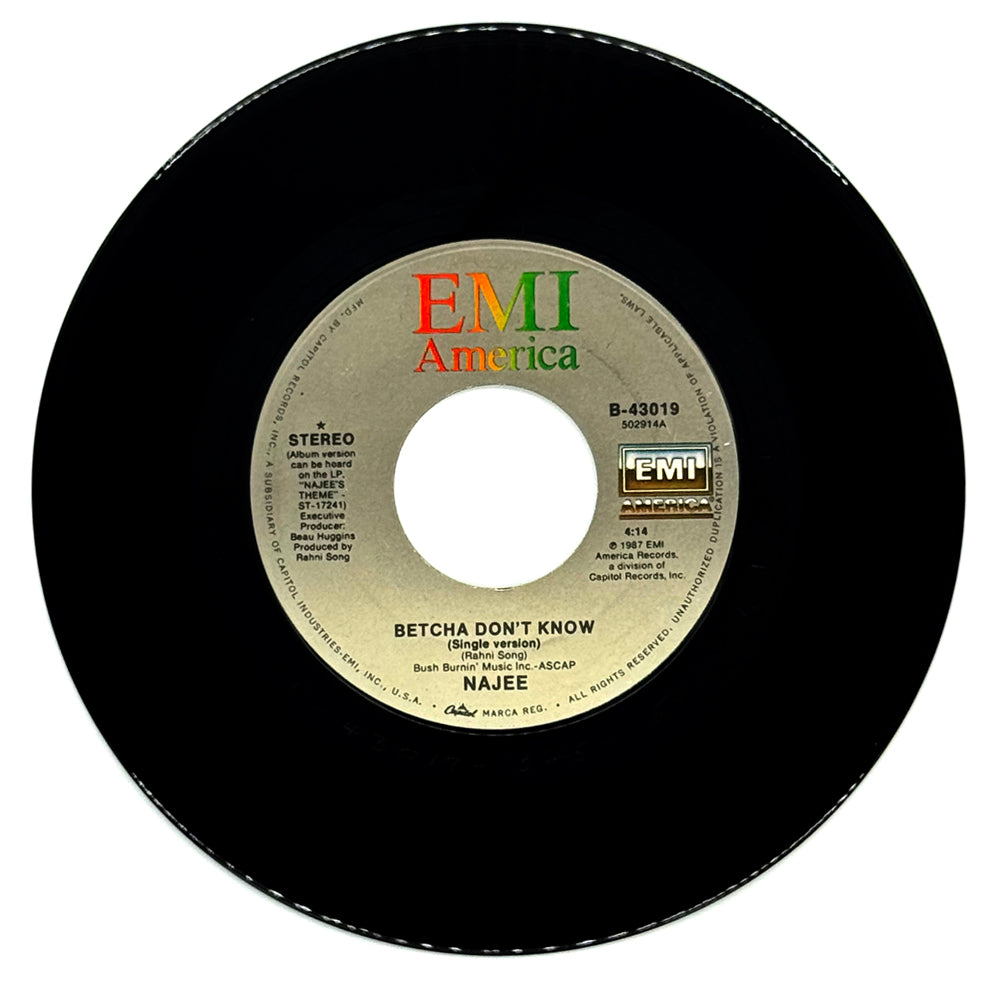 Najee : BETCHA DON'T KNOW (SINGLE VERSION)/ WE'RE STILL FAMILY
