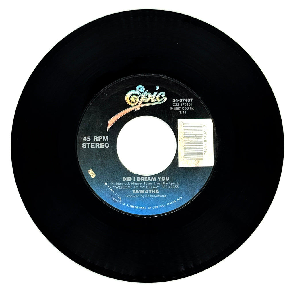 Tawatha : DID I DREAM YOU/  WELCOME TO MY DREAM (TEARS OF JOY)