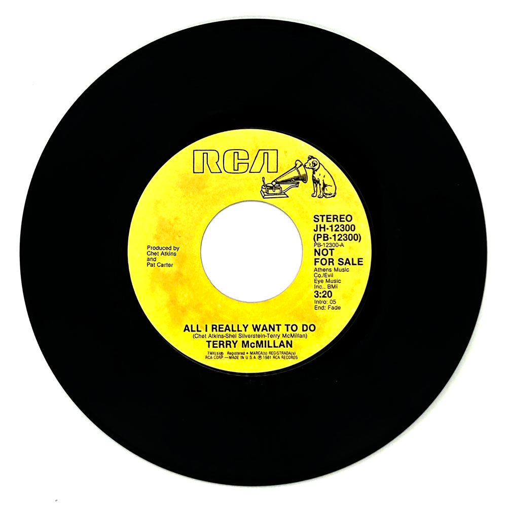 Terry McMillan : ALL I REALLY WANT TO DO/  ALL I REALLY WANT TO DO