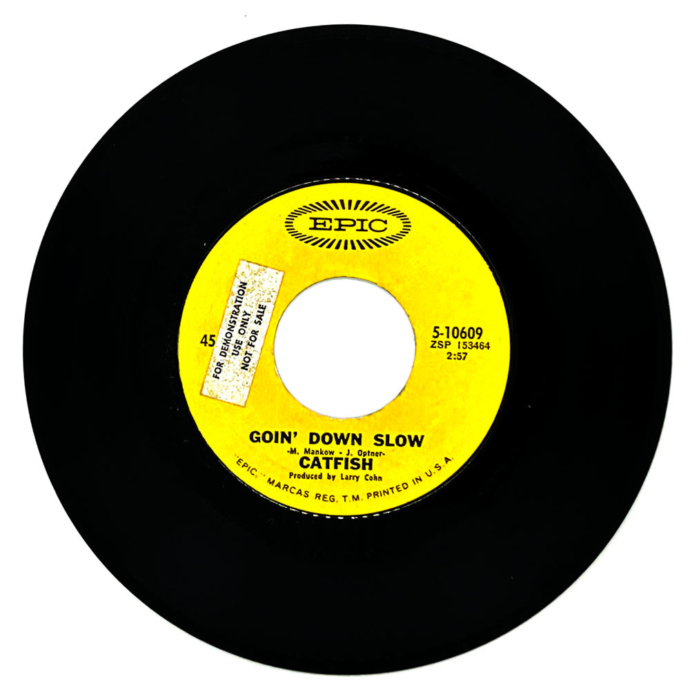 Catfish : GOIN' DOWN SLOW/ JUMP IN THE RIVER