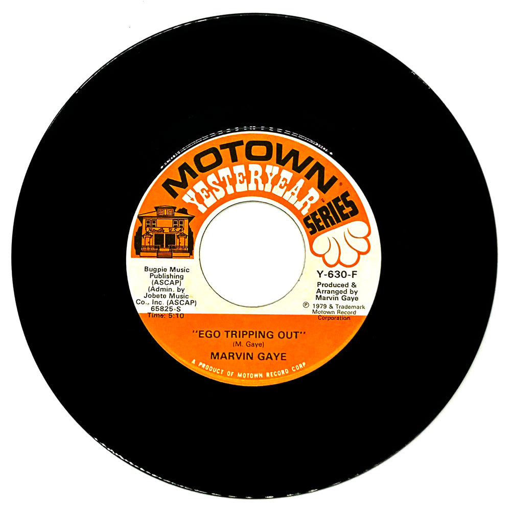 Marvin Gaye : EGO TRIPPING OUT/ A FUNKY SPACE REINCARNATION