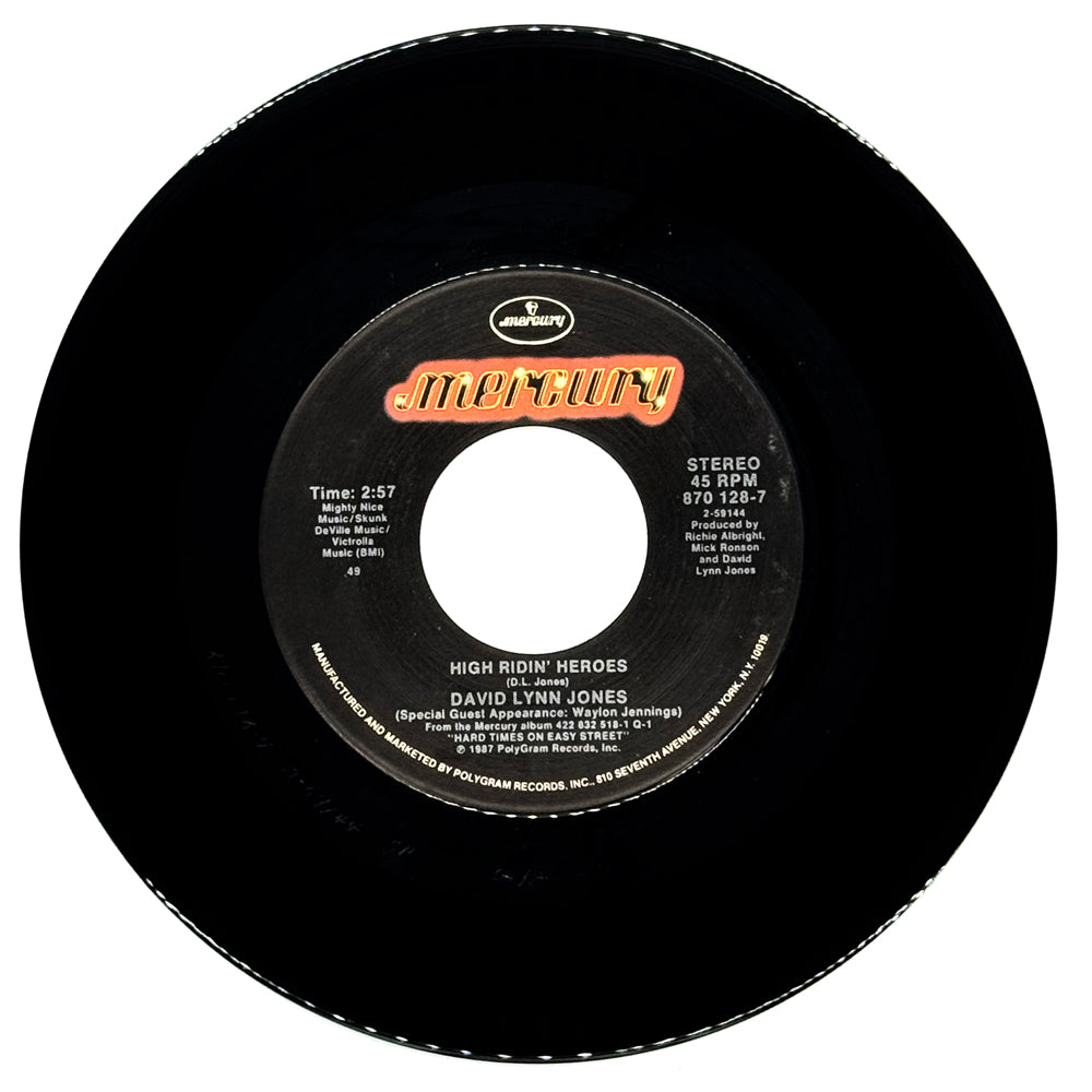 David Lynn Jones : HIGH RIDIN' HEROES/ LIVING IN THE PROMISELAND