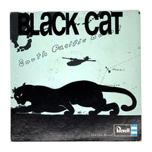 Load image into Gallery viewer, Jack Shaindlin : BLACK CAT
