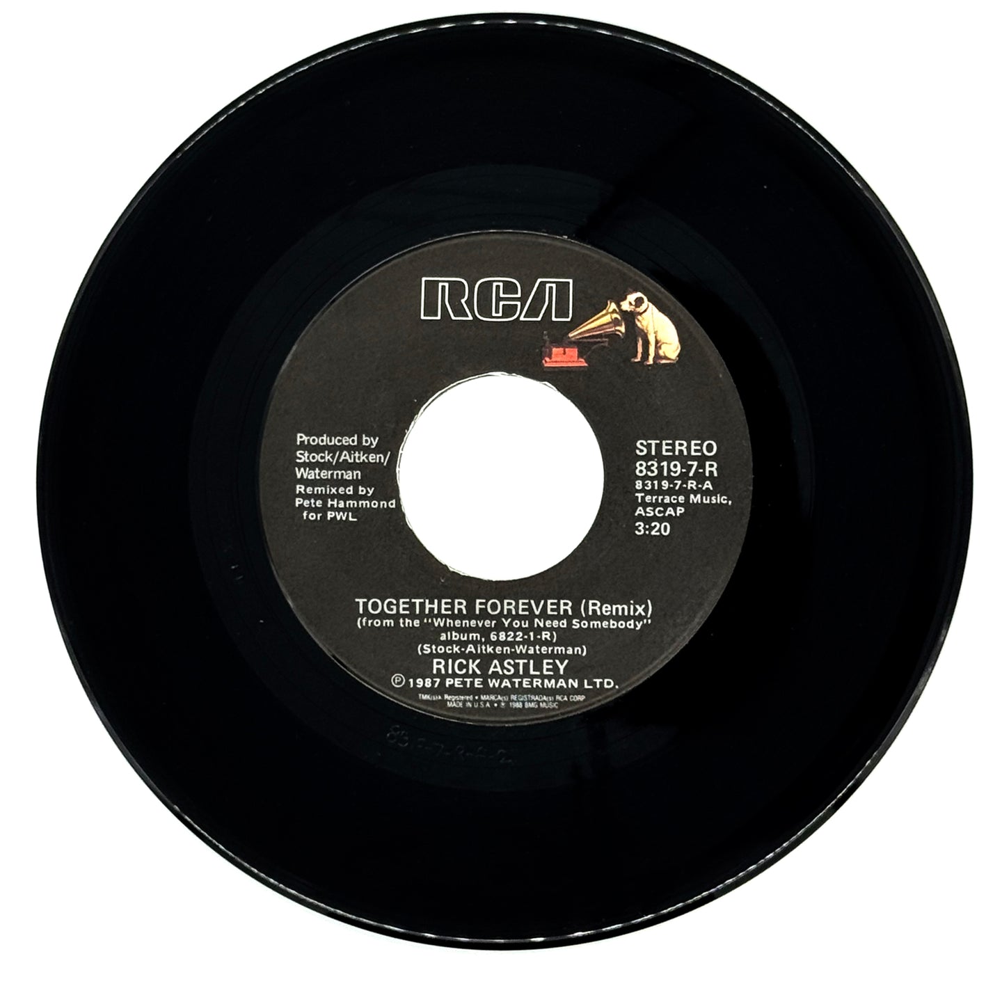 Rick Astley : TOGETHER FOREVER (REMIX)/ I'LL NEVER SET YOU FREE