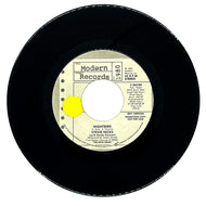 Stevie Nicks (with Sandy Stewart): NIGHTBIRD (EDIT VERSION)/ NIGHTBIRD (EDIT VERSION)