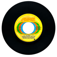 Dennis Coffey And The Detroit Guitar Band : CAPRICORN'S THING/ LONELY MOON CHILD