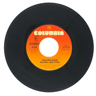 Walter Egan : MAGNET AND STEEL/ TUNNEL O' LOVE