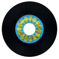 Clint Holmes : PLAYGROUND IN MY MIND/ SHIDDLE-EE-DEE