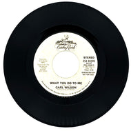 Carl Wilson : WHAT YOU DO TO ME/ WHAT YOU DO TO ME