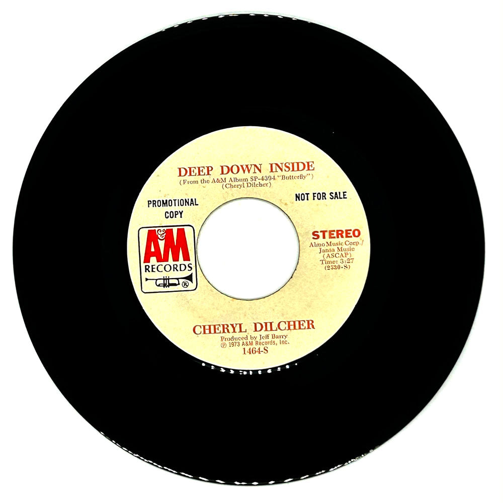 Cheryl Dilcher : DEEP DOWN INSIDE/ DEEP DOWN INSIDE