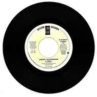 Lindsey Buckingham : IT WAS I/ IT WAS I