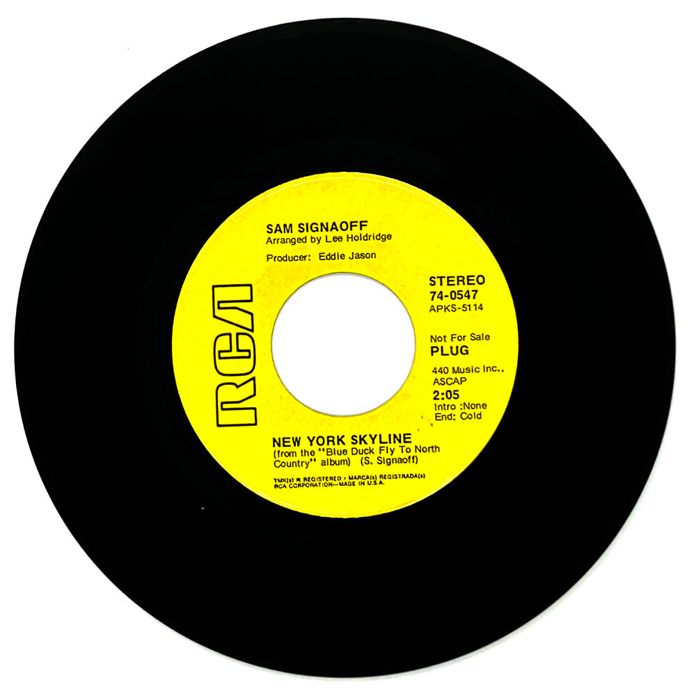 Sam Signaoff : NEW YORK SKYLINE/ BLUE DUCK FLY TO NORTH COUNTRY