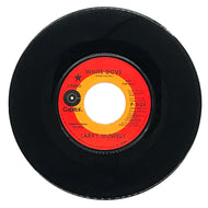 Larry McNeely : WHITE DOVE/ LAUREL CANYON SKY SONG