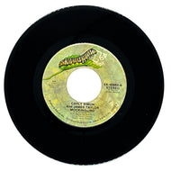 Carly Simon & James Taylor : MOCKINGBIRD/ GROWNUP