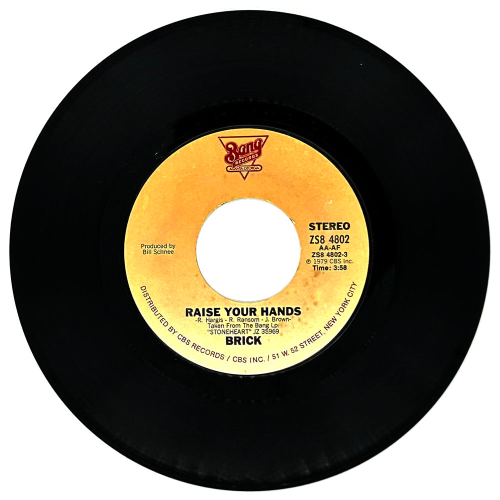 Brick : RAISE YOUR HANDS/ LIFE IS WHAT YOU MAKE IT