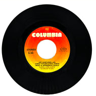 Art Garfunkel with James Taylor & Paul Simon : (WHAT A) WONDERFUL WORLD/ Art Garfunkel : WOODEN PLANES