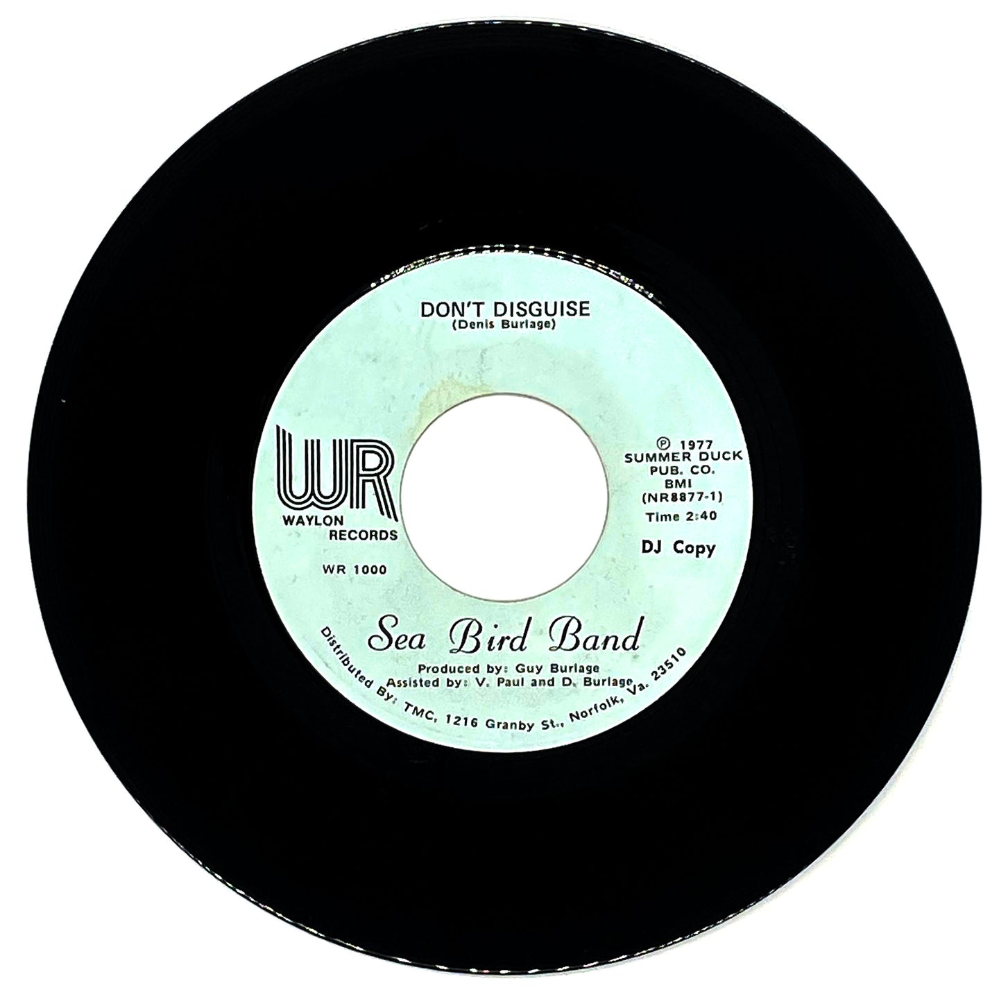Sea Bird Band : DON'T DISGUISE/ VIGINIA FEELIN'