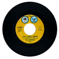Sandpipers, The : COME SATURDAY MORNING/ THE WONDER OF YOU