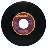Albert Hammond : IT NEVER RAINS IN SOUTHERN CALIFORNIA/ ANYONE HERE IN THE AUDIENCE