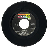 Hamilton, Joe Frank & Reynolds : ANNABELLA/ GOIN DOWN