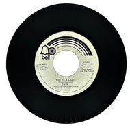 Dawn Feat. Tony Orlando : YOU'RE A LADY/ IN THE PARK