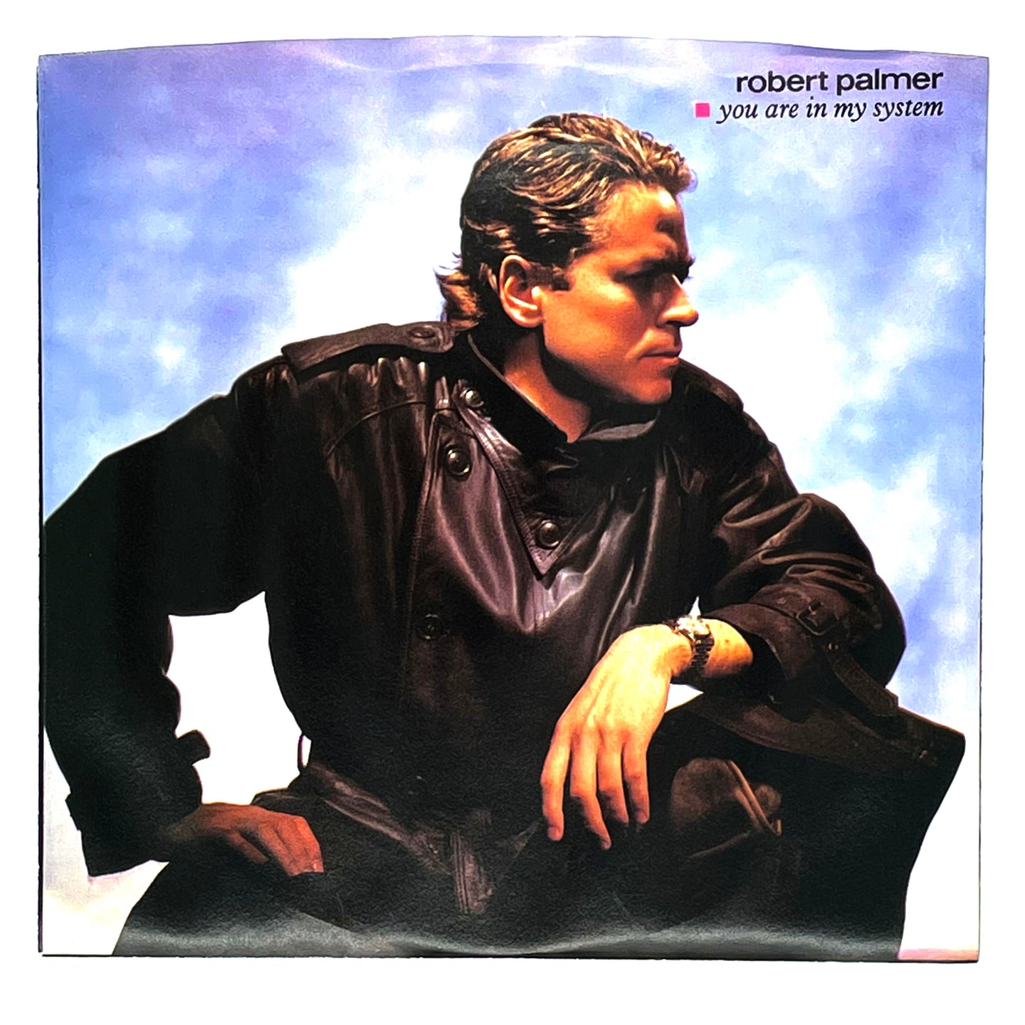 Robert Palmer : YOU ARE IN MY SYSTEM/ DEADLINE