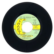 LaWanda Lindsey + Kenny Vernon : PICKIN' WILD MOUNTAIN BERRIES/ WE DON'T DESERVE EACH OTHER