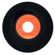 Lawanda Lindsey : SUNSHINE FEELING/ LOVE MAKES THE WORLD GO AROUND