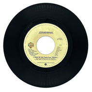 Stephen Bishop : IT MIGHT BE YOU (THEME FROM 