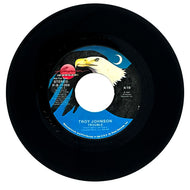 Troy Johnson : TROUBLE/ TROUBLE