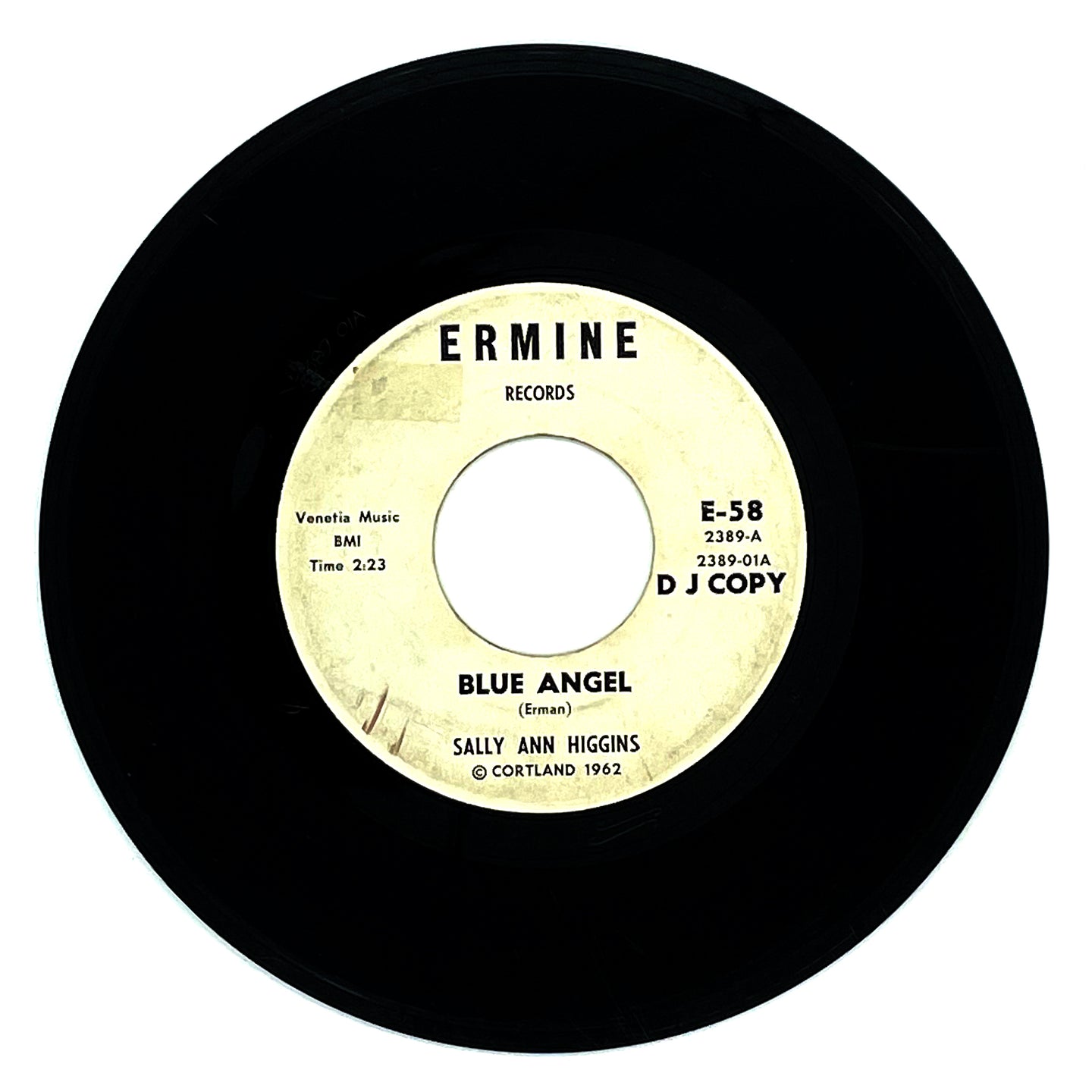 Sally Ann Higgins : BLUE ANGEL/ BLUE ANGEL