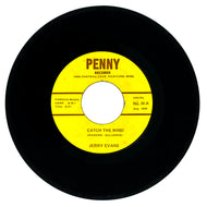 Jerry Evans : CATCH THE WIND/ I'M WALKING THE DOG