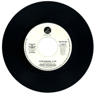 Lindsey Buckingham : SLOW DANCING/ SLOW DANCING