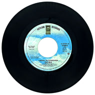 Lindsey Buckingham : TROUBLE/ MARY LEE JONES