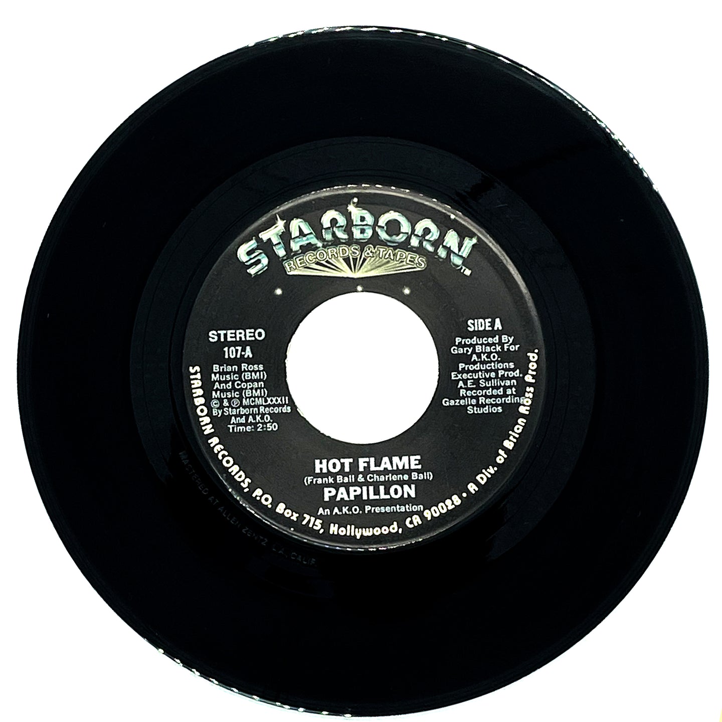 Papillon : HOT FLAME/ MIDNITE FLITE