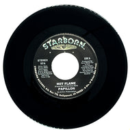 Papillon : HOT FLAME/ MIDNITE FLITE